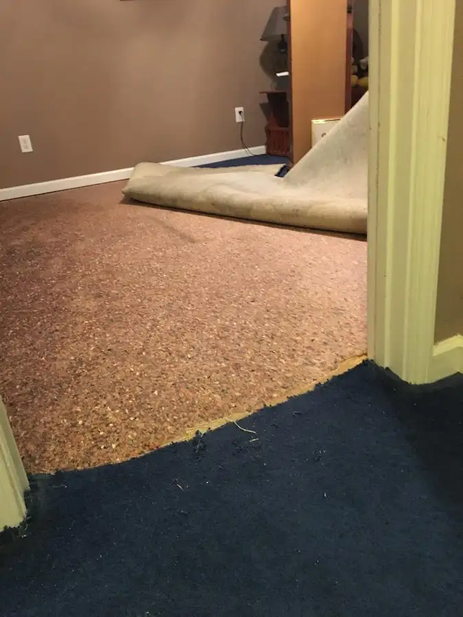 Carpet pad removal revealing water damage during Water Mitigation Services in Sunny Isles Beach