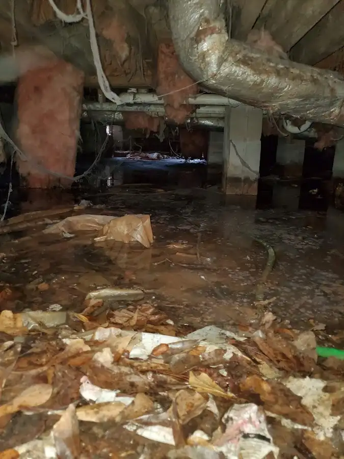 Crawl space flood assessment for Leak Detection & Repair in Sunny Isles Beach