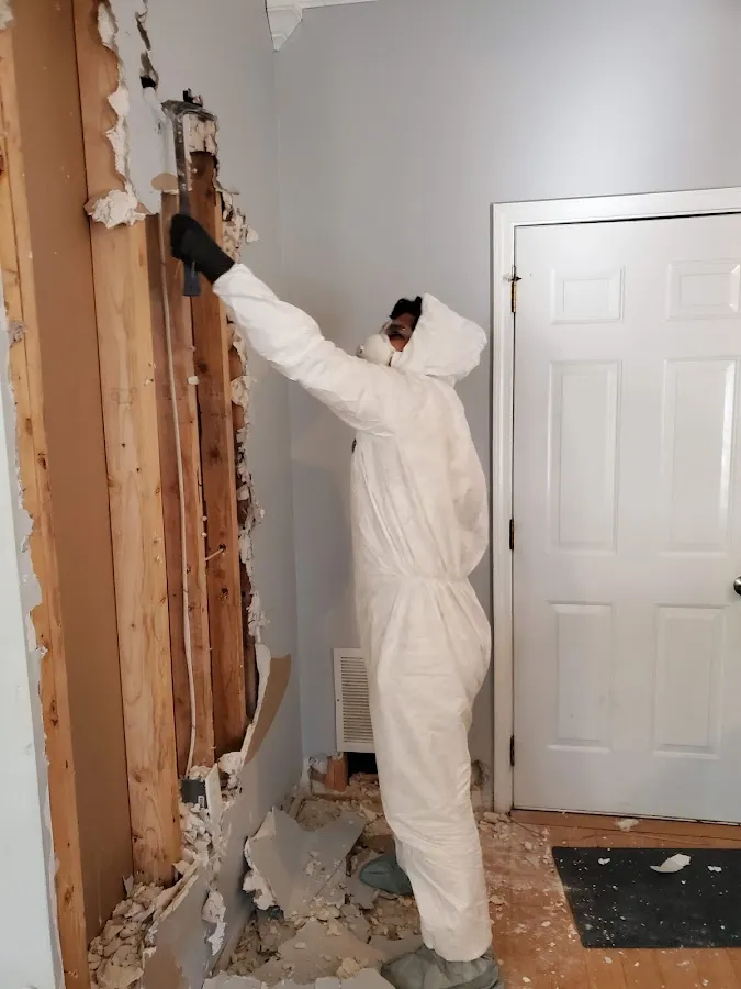 Water Damage Restoration services in Sunny Isles Beach, FL